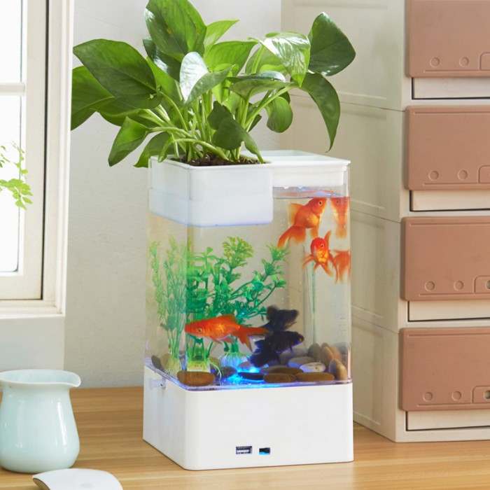 Desktop Acrylic Mini Aquarium / Akuarium Import