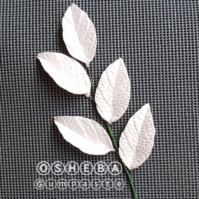 

[osheba] gumpaste daun rangkai berkawat DHS - 55 warna putih