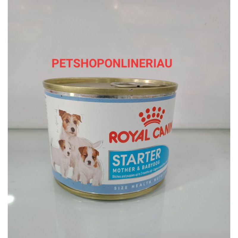 Royal Canin starter mousse 195gr