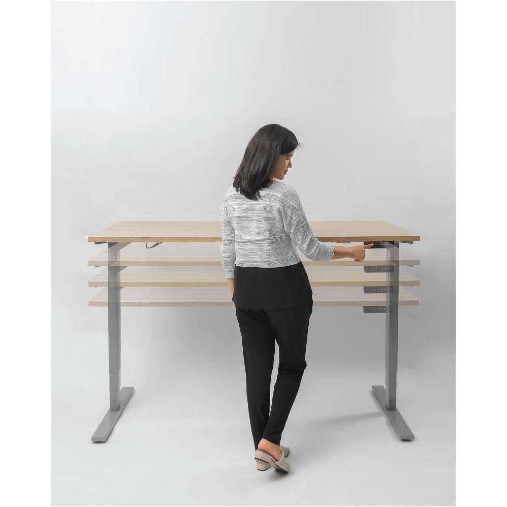 Firm - SNO High-Adjustable Desk