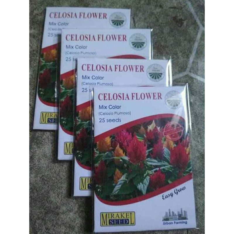 

jenis² bunga celosia