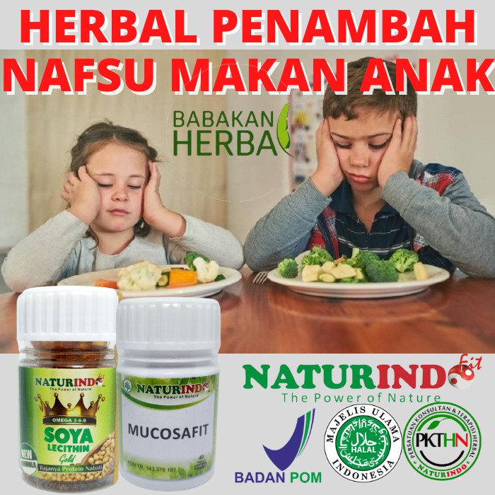 

Obat Herbal Ampuh Penambah Nafsu Makan Anak Obat Penambah Berat Badan Anak Herbal Gemuk Anak