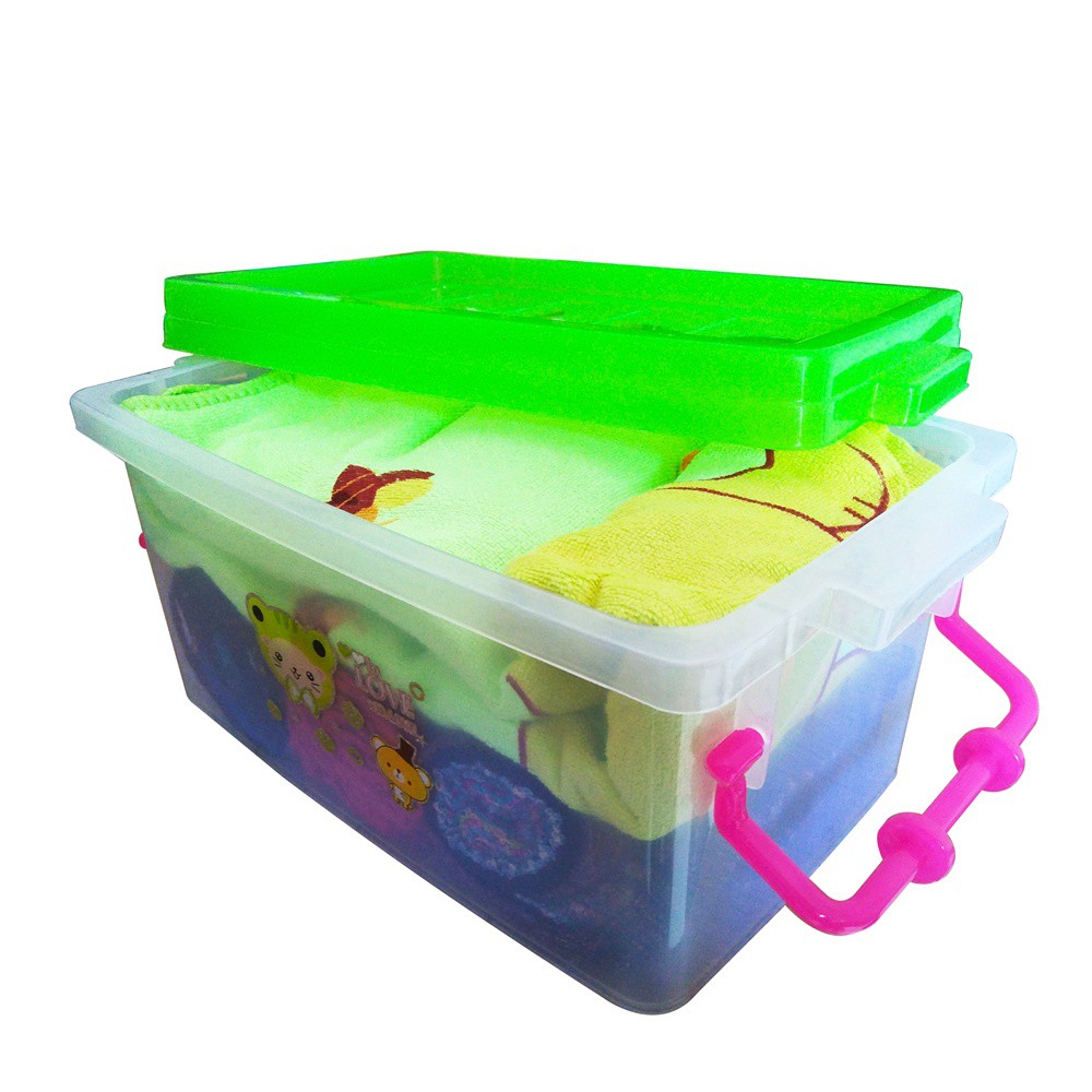 Mercury Container Box Plastik 203 / Kotak Penyimpanan Tempat Accesoris