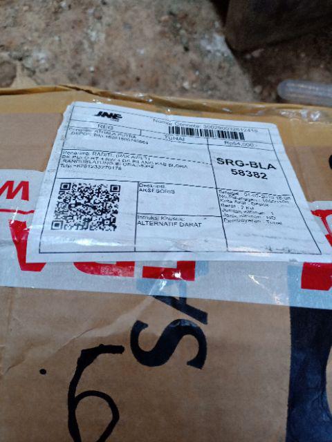 Anggrek Dendrobium Seddling Murah