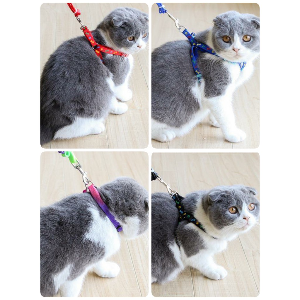 Tali Tuntun Dengan Harness Untuk Anjing dan Kucing  / Pet Cat Dog Leash