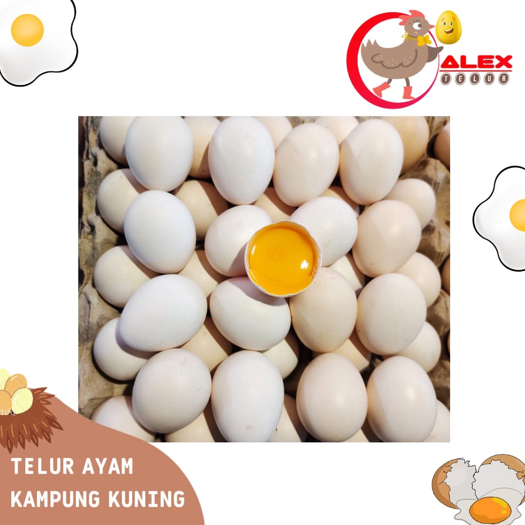 

Telur Ayam Kampung Kuning perbutir