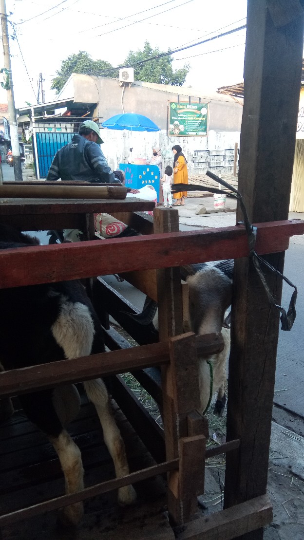 Payung Jumbo Lebar 180-210cm Cocok Untuk Event Pantai Cafe Bazaar