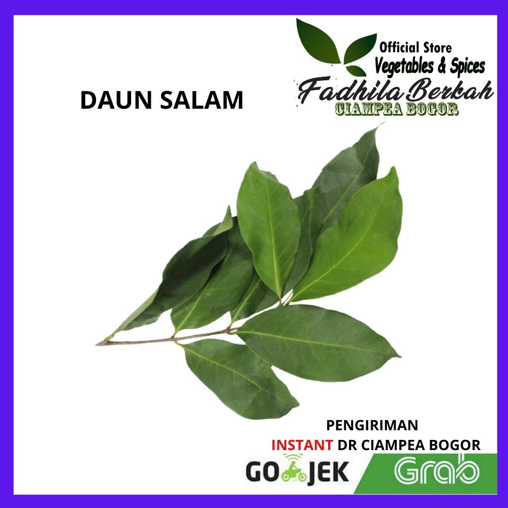 

Daun Salam Pasar Sayur Sayuran sayurbox sayurmayur Segar fresh Makanan kuliner beku frozen Online Freshmart Bogor