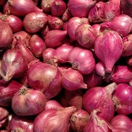 

Bawang Merah Brebes 500 gr