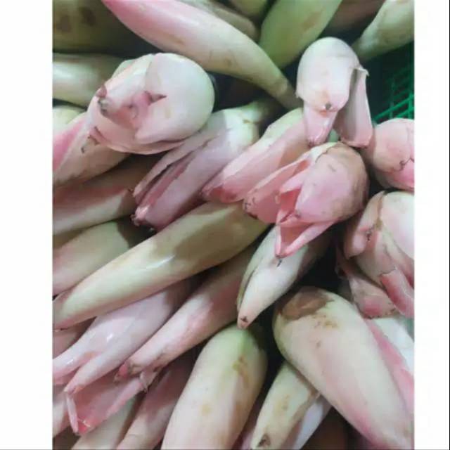 

kecombrang / 500 gram
