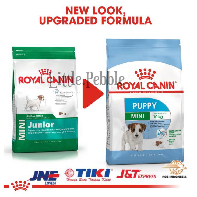 ROYAL CANIN MINI JUNIOR MINI PUPPY 8KG