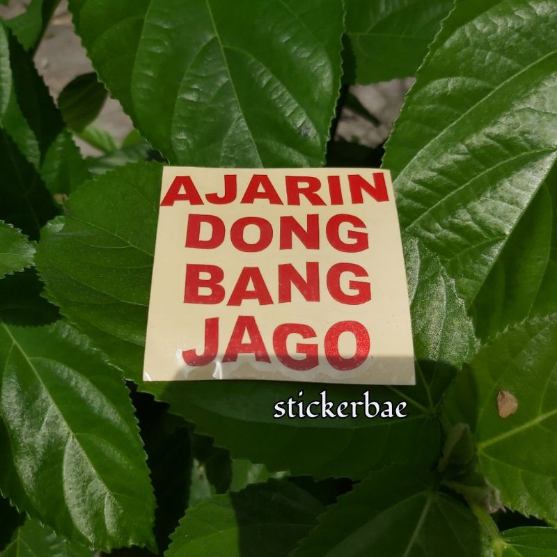 STIKER AJARIN DONG BANG JAGO STICKER HARTA TAHTA  CUTTING CUSTOM