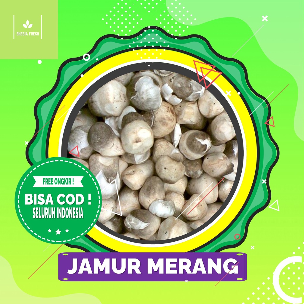 

Shesia Fresh - Jamur Merang Organik 250 gram