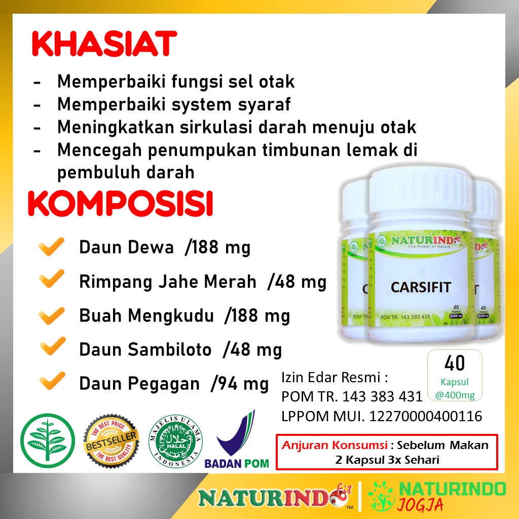 Obat Stroke Ringan Obat Herbal Stroke BPOM Obat Pasca Stroke Ampuh 100% Alami CARSIFIT Naturindo-1