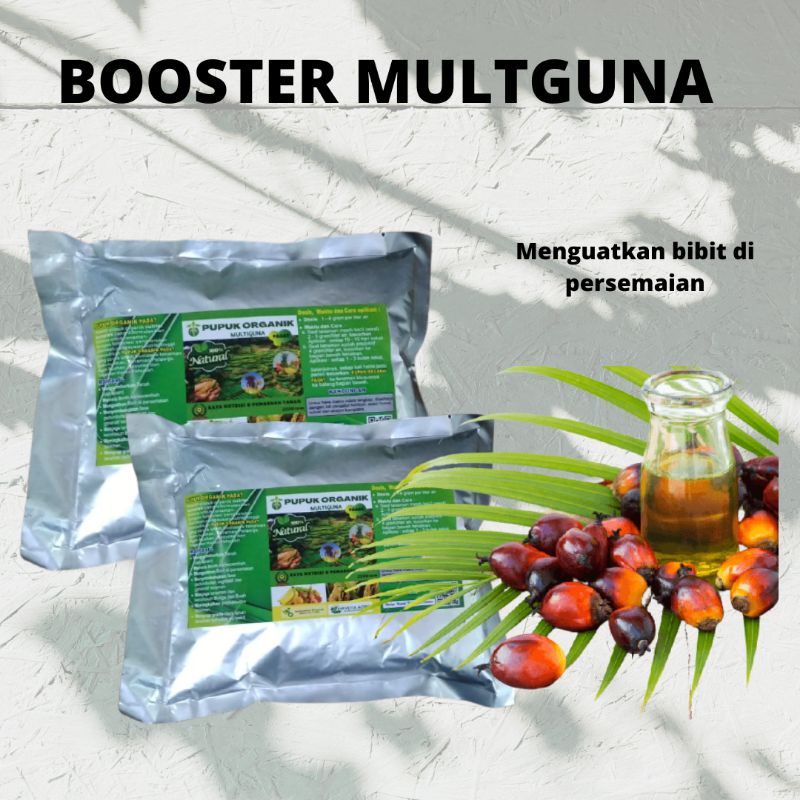 Pupuk Pelebat Buah Sawit, Pupuk Buah Terbaik Untuk Sawit