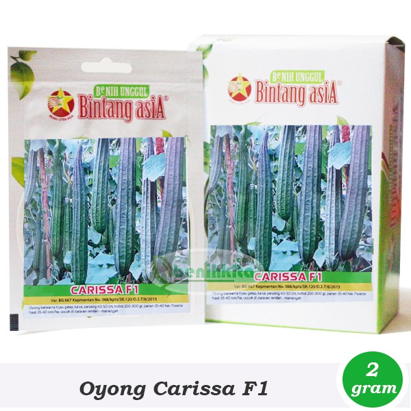 Benih-Bibit Oyong Carissa F1 (Bintang Asia)