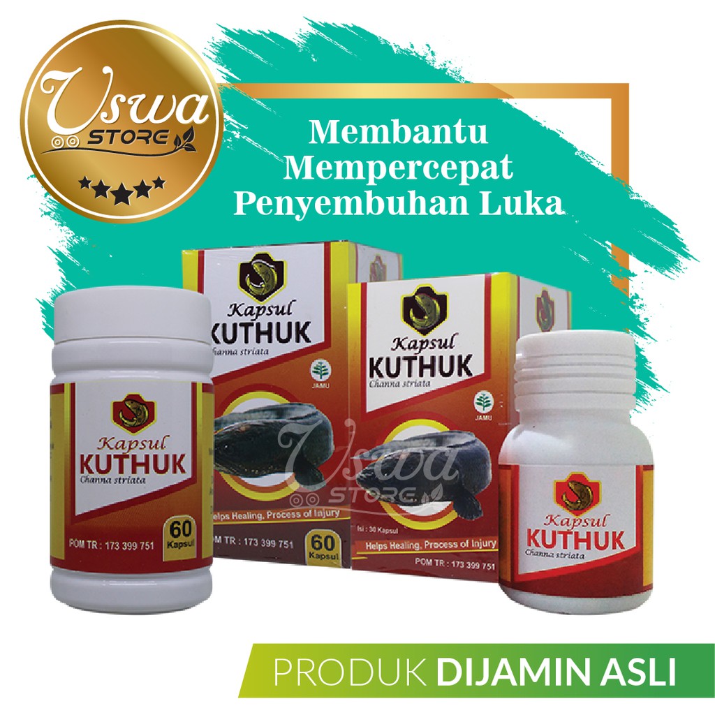 Jual KUTHUK KAPSUL KUTUK PREMIUM Plus Ikan Kutuk/Albumin Untuk ...