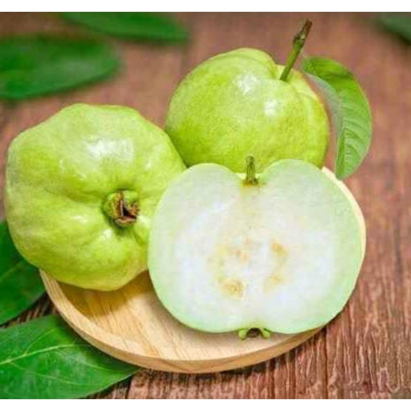 

Jambu kristal asli