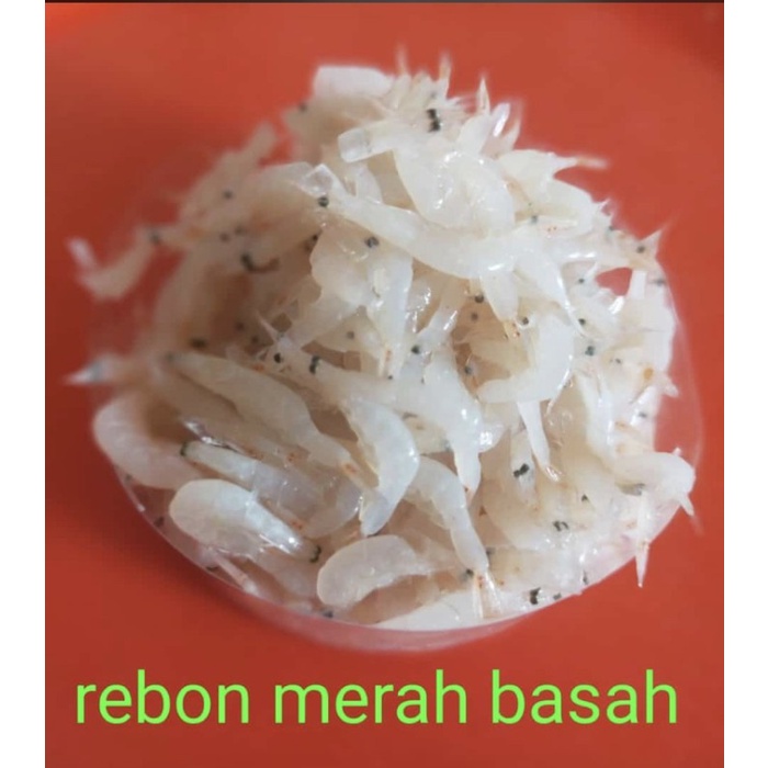 

Udang Rebon Basah Segar