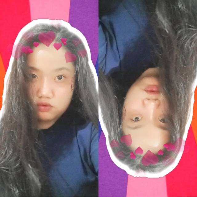 disaa13_