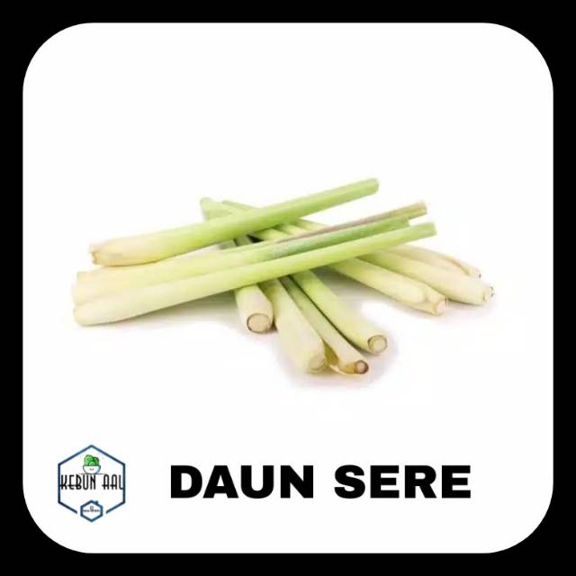 

Daun Sere / Daun serei