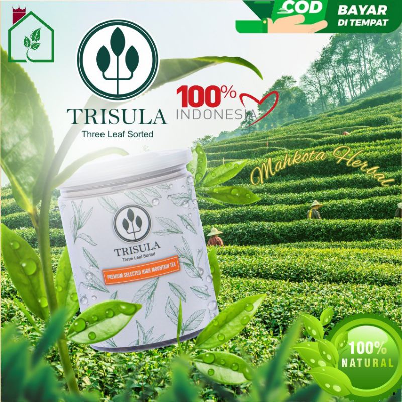 

Teh Diet Pelangsing Penurun Berat Badan Teh Hijau Kesehatan Teh Detox Trisula Teh Premium Asli Berkualitas Bagus Untuk Diet Herbal Alami Untuk Terapi Diet Alami