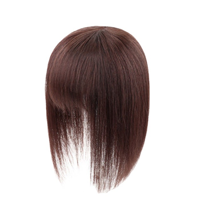 Women's Long Straight Wig Clip with Bangs Clip In Extension Wig