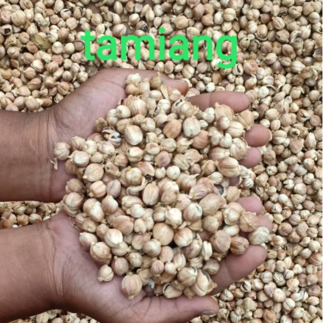 

kapulaga kering 50 gram