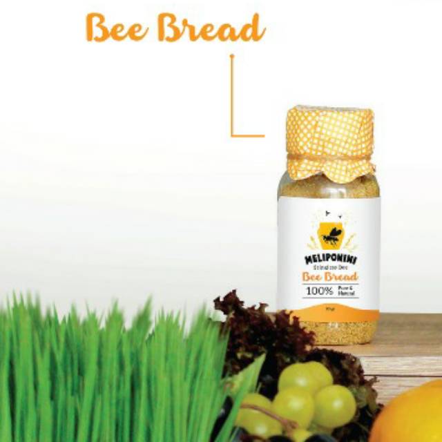 

Meliponini Bee bread - Bee pollen dari lebah tanpa sengat/trigona/kelulut/klanceng