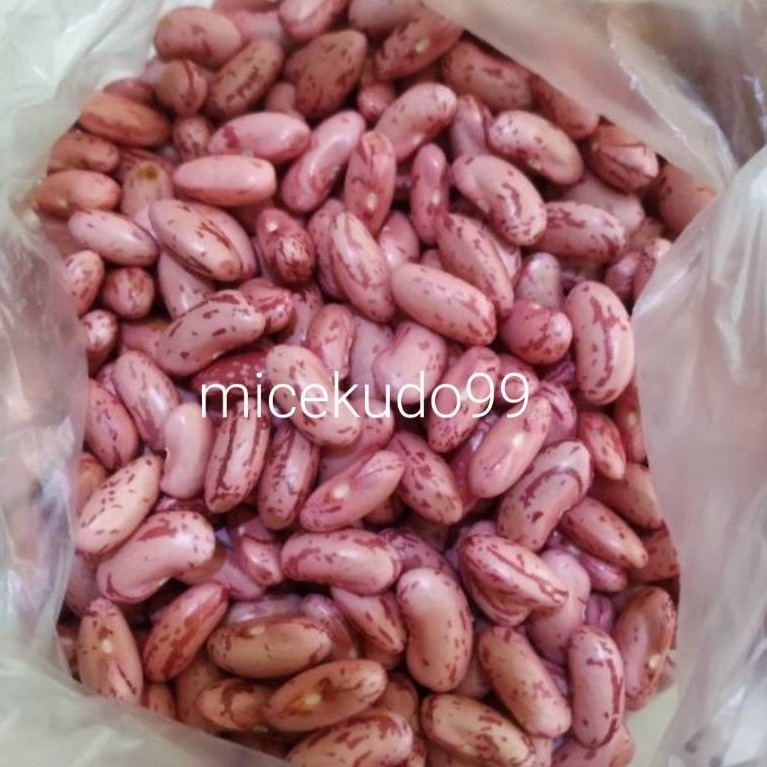 

KACANG MERAH BRENEBON SEGAR BASAH RED BEAN FRESH