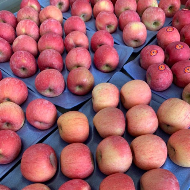 

SUPPLIER BUAH IMPORT | Apel Fuji China (Isi 125 pcs/box)