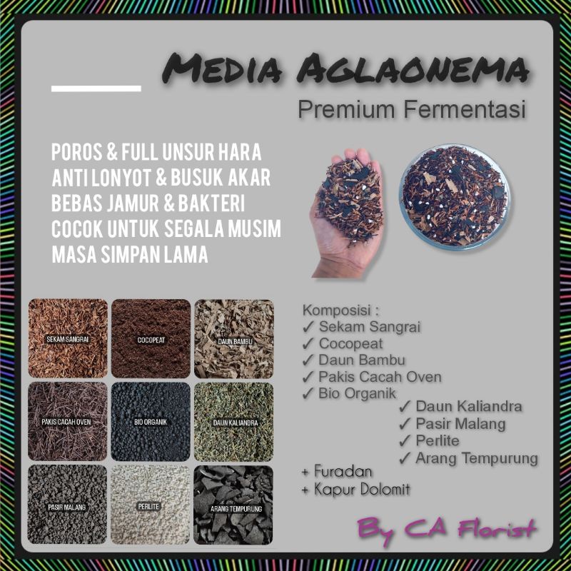 Jual Media Tanam Fermentasi Khusus Aglaonema 5KG | Shopee Indonesia