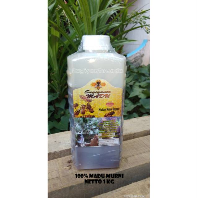 

MADU ASLI.. MADU MURNI.. Sugiyanto Madu 1kg..Madu Hutan Riau Super (MURNI TANPA CAMPURAN)