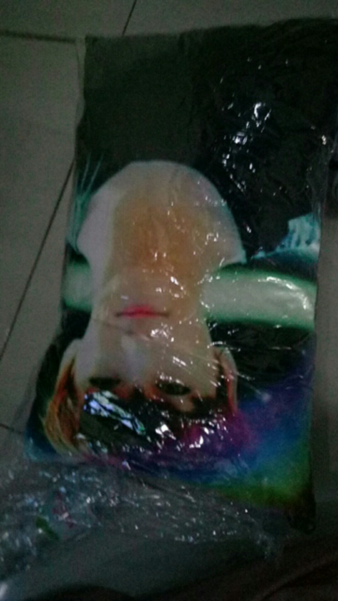 Bantal Foto Dryvit | 60x40cm |