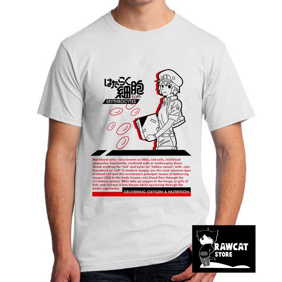 kaos hataraku saibou erythrocyte