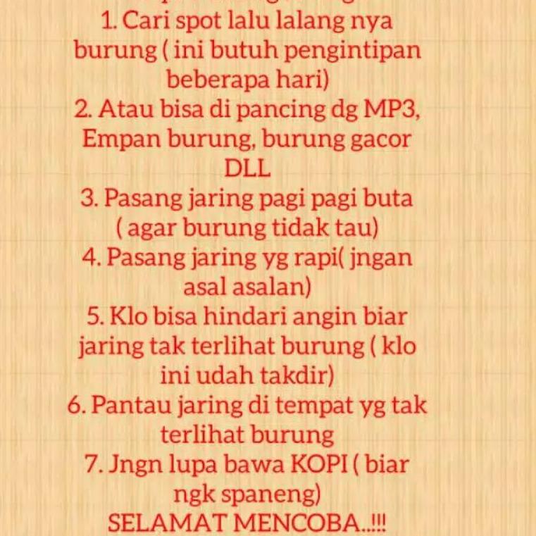 CKB.19Au22в • JARING BURUNG PERKUTUT JALA PERKUTUT LOKAL JARING PIKAT KUTUT JARING JEBAK PERKUTUT JA