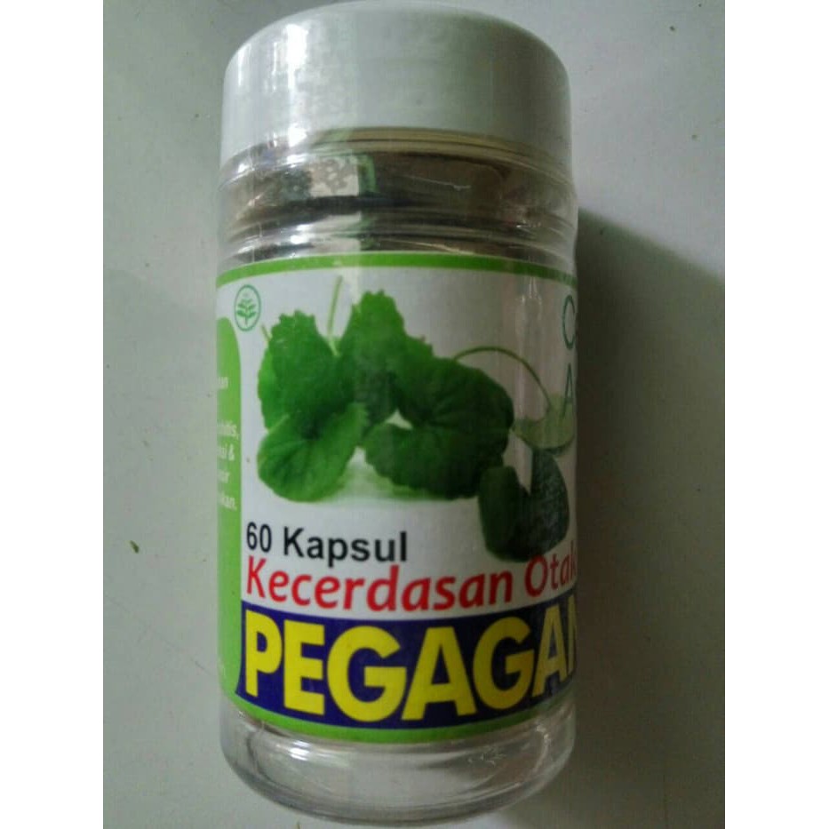 Kapsul Pegagan Kecerdasan Otak isi 60 kapsul