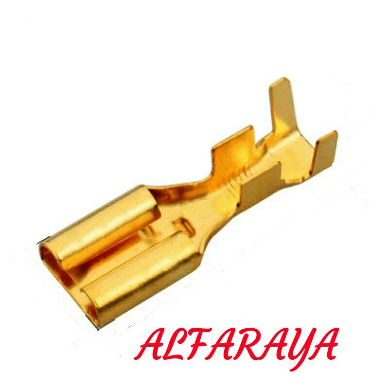 skun instalasi Twitter walet isi 30