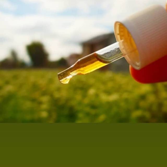 Madu Efi Propolis Extract Efi