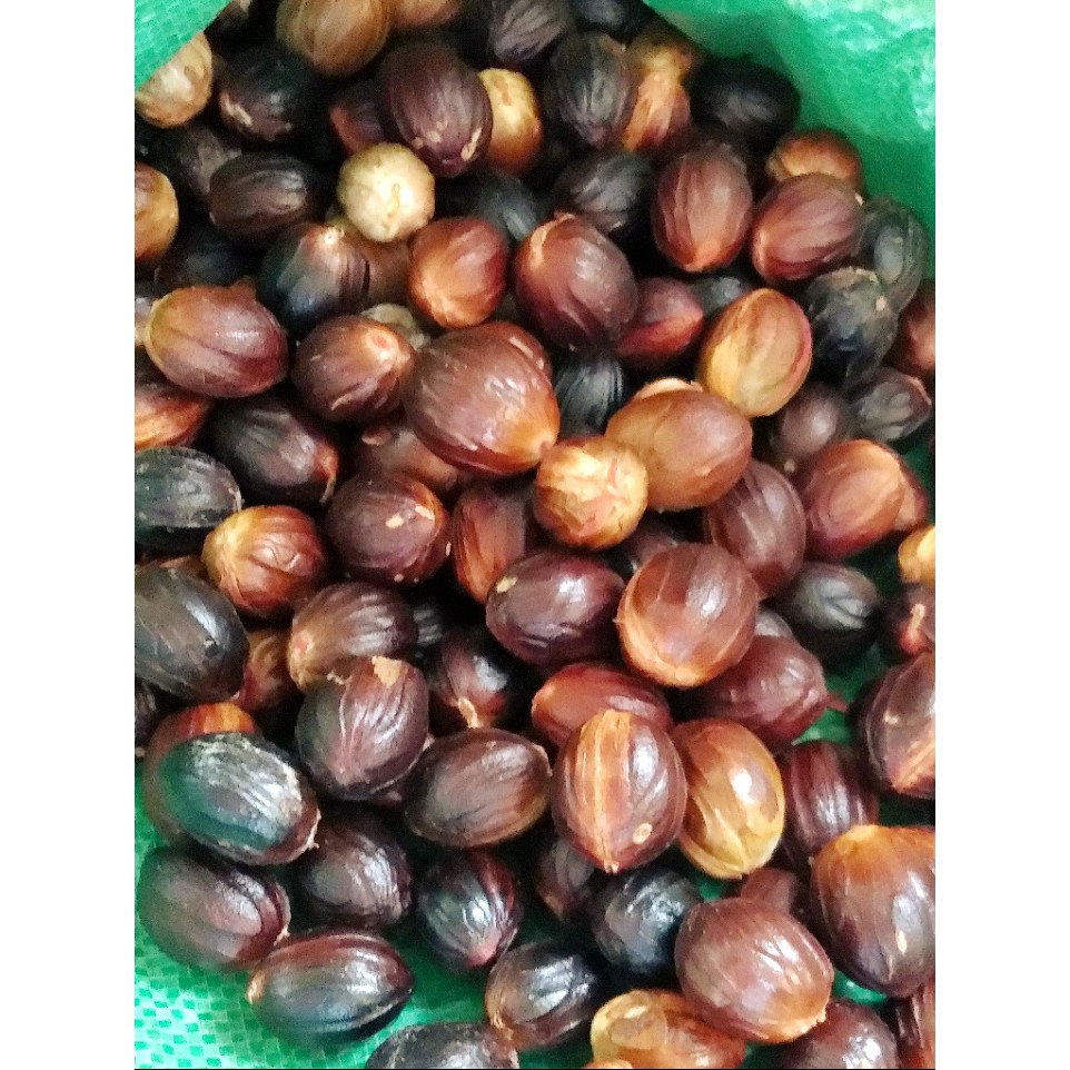 

Biji pala 2000 / 3 biji