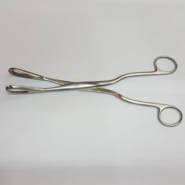 Corey Ovum Forcep 24cm RENZ