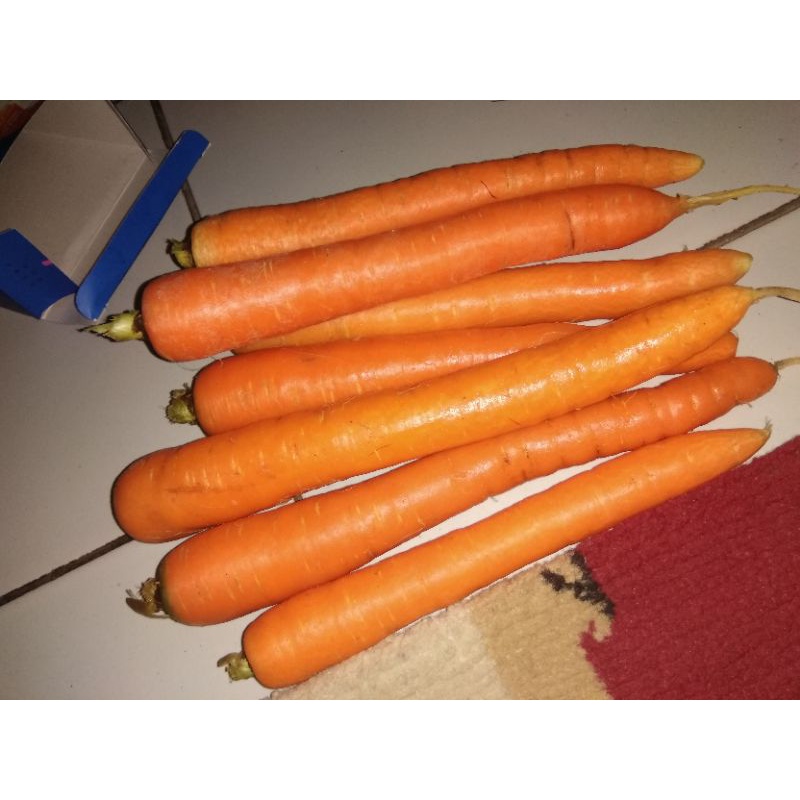 

Wortel lokal pangalengan