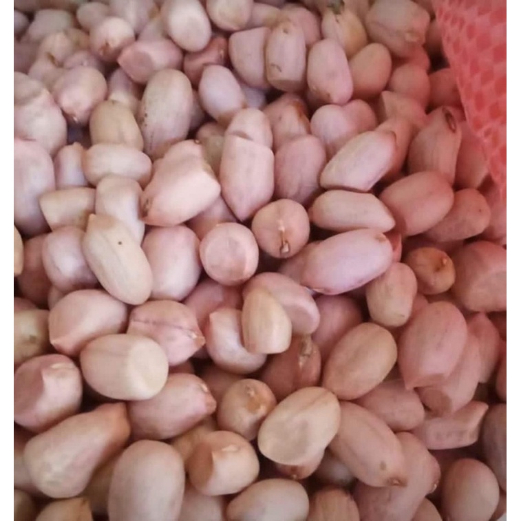 

kacang tanah(1kg)ukuran sedang/kacang tanah kwalitas super