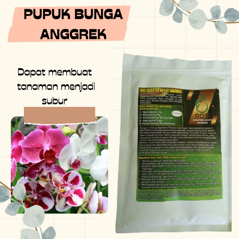 Pupuk Anggrek Agar Rajin Berbunga, Fungisida Untuk Anggrek

