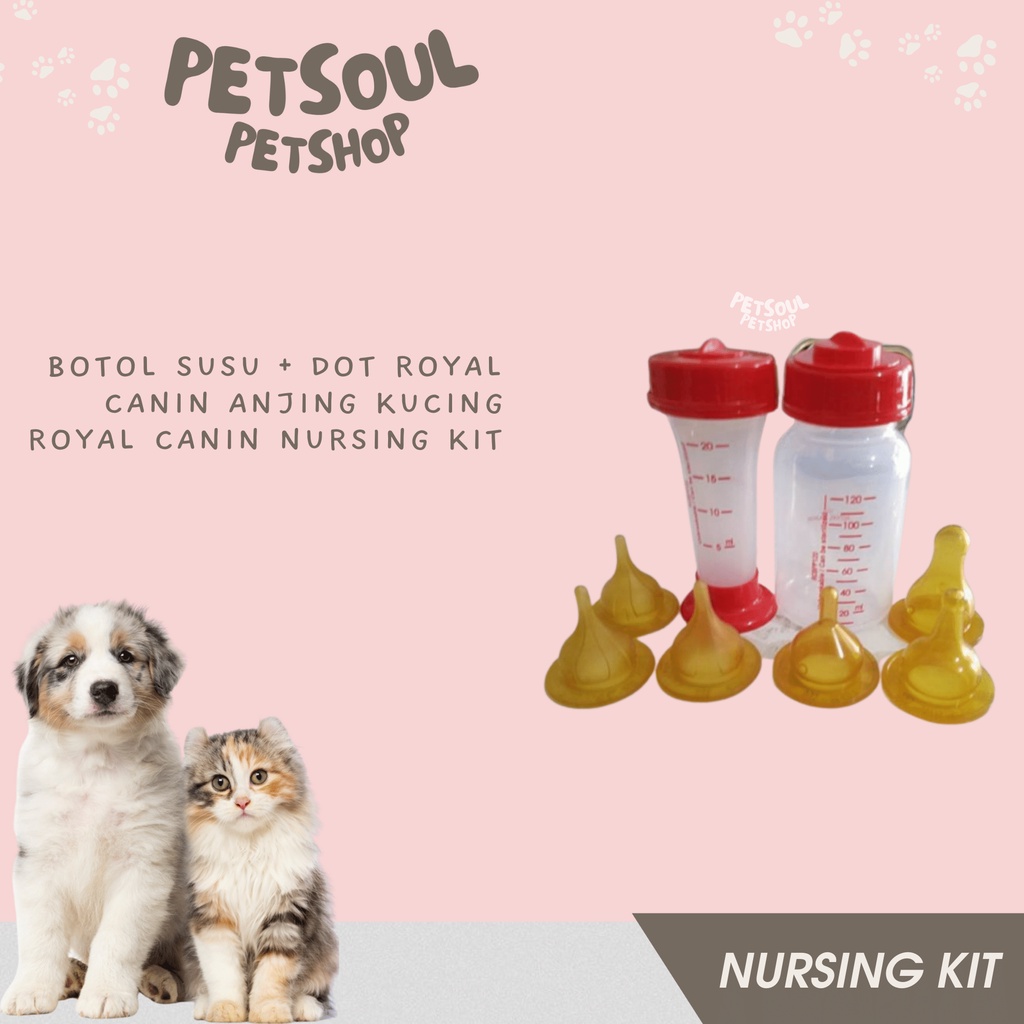 Botol Susu + Dot Royal Canin Anjing Kucing Royal Canin Nursing Kit