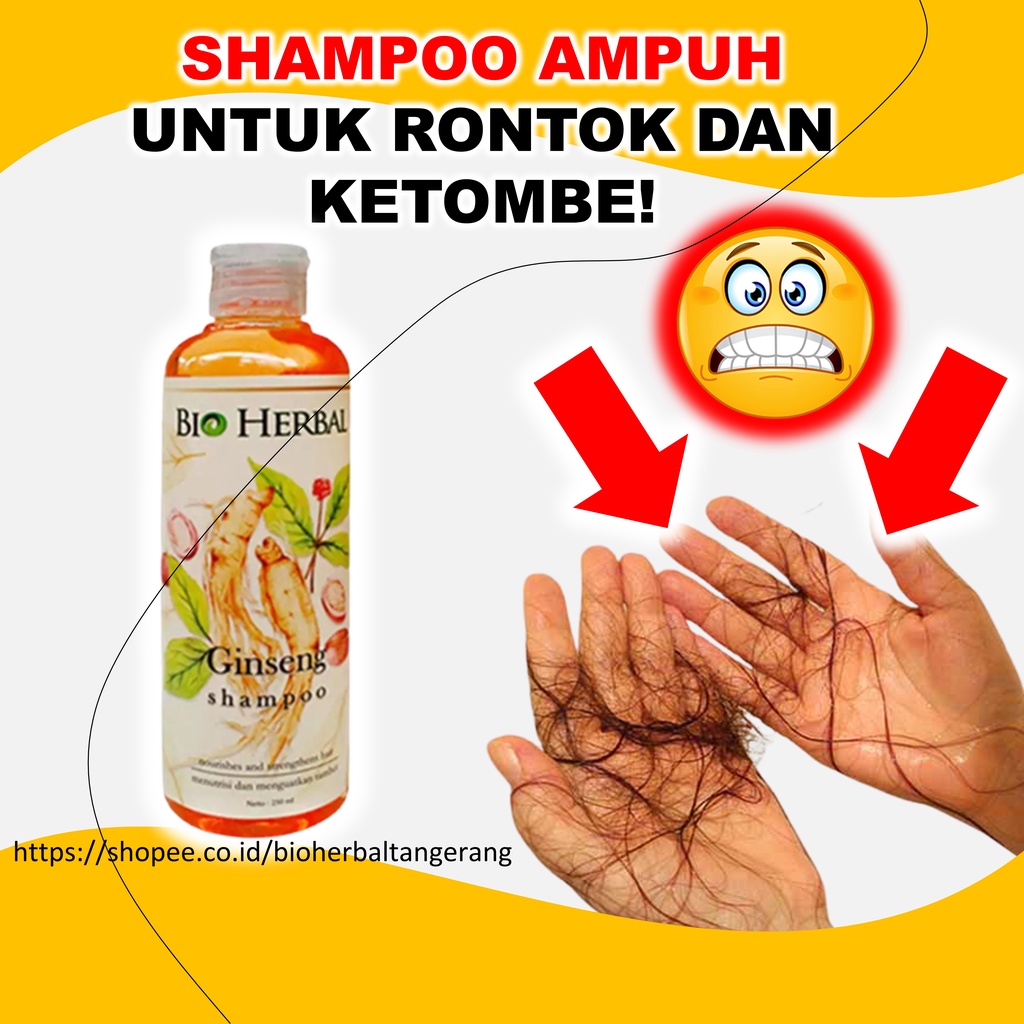 Shampo Rontok Parah Dan Ketombe Penumbuh Rambut Ginseng Paling Ampuh BPOM 250 ml B1P