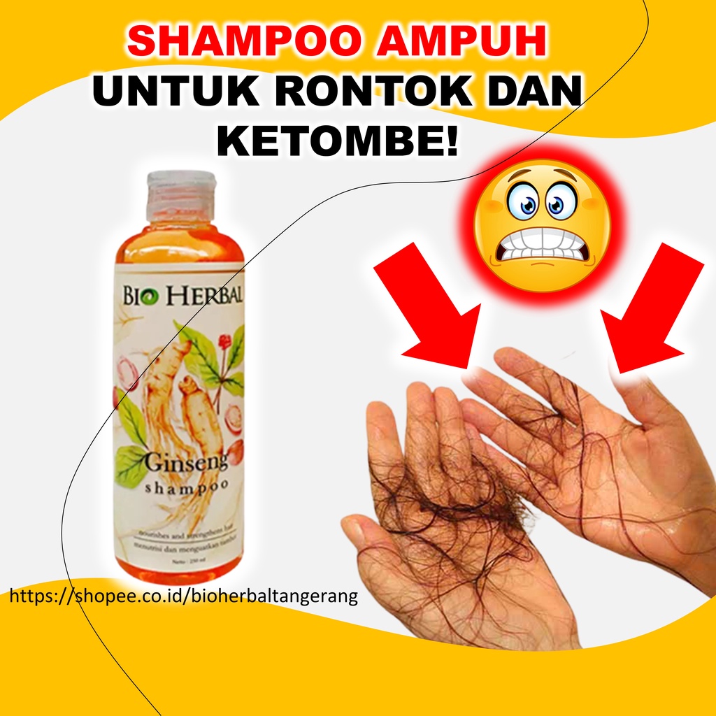 Shampo Rontok Parah Dan Ketombe Penumbuh Rambut Ginseng Paling Ampuh BPOM 250 ml B1P