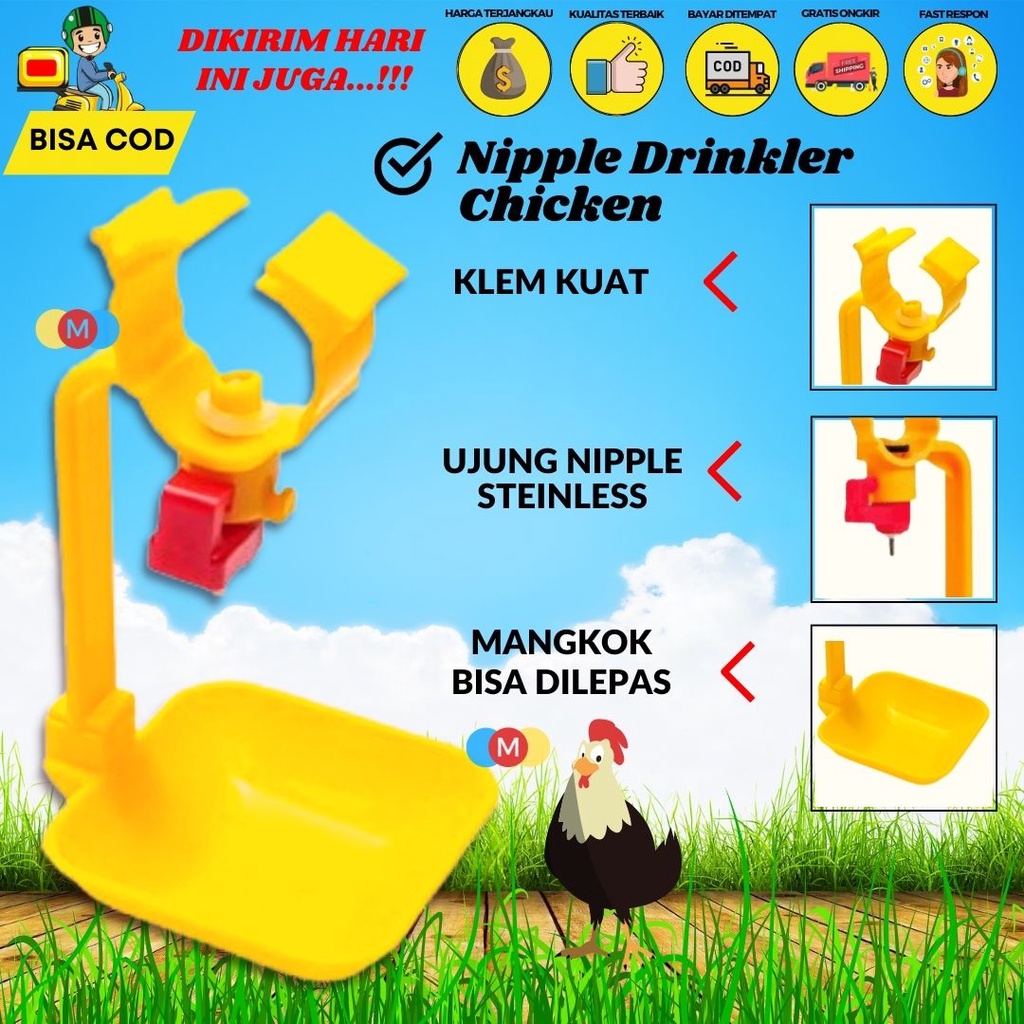 Nipple Layer Cup Niple Layer Mangkok Niple Ayam Petelur - MEGHANAID