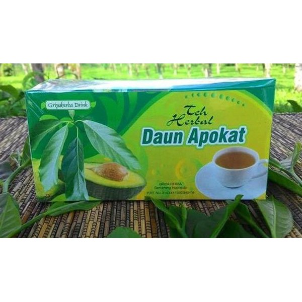 Teh Celup Daun Apokat mengobati asam urat rematik kolesterol dan batu ginjal dengan teh daun apokat secara alami