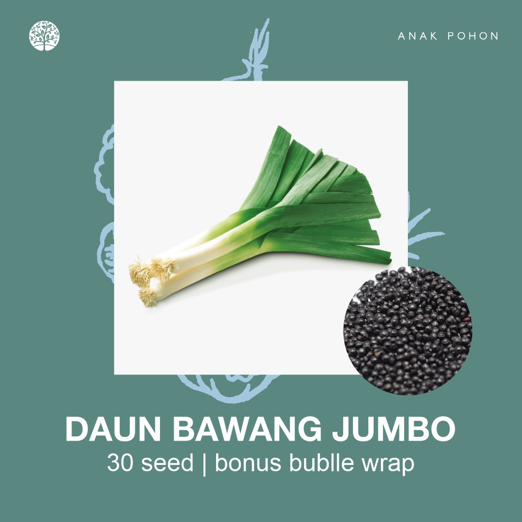 SERBA SERIBU - Benih Bibit Biji - Paket Benih Sayuran DAUN Termurah Kangkung Sawi Selada Seledri Kol-Daun Bawang Jumbo